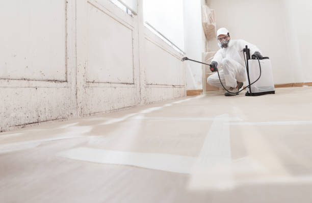 24/7 Emergency Mold Cleanup experts in Leesburg, VA