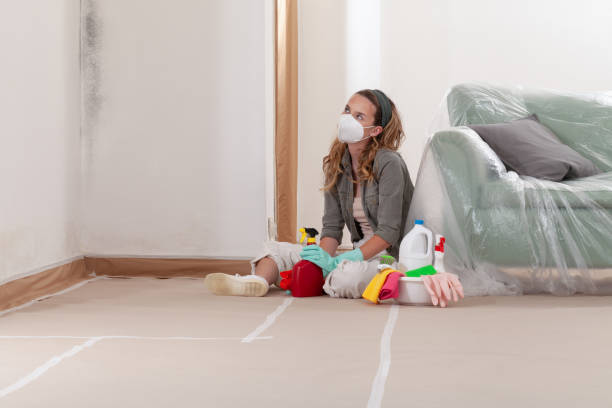 Reliable Mold Cleanup contractor in Leesburg, VA by Cheap Mold Removal